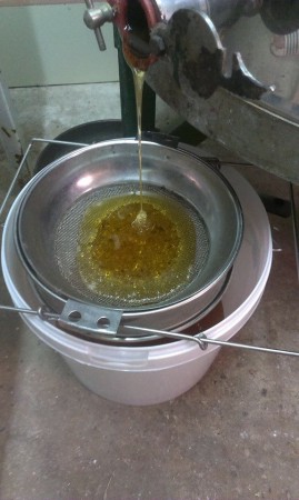 Φιλτράρισμα Μελιού